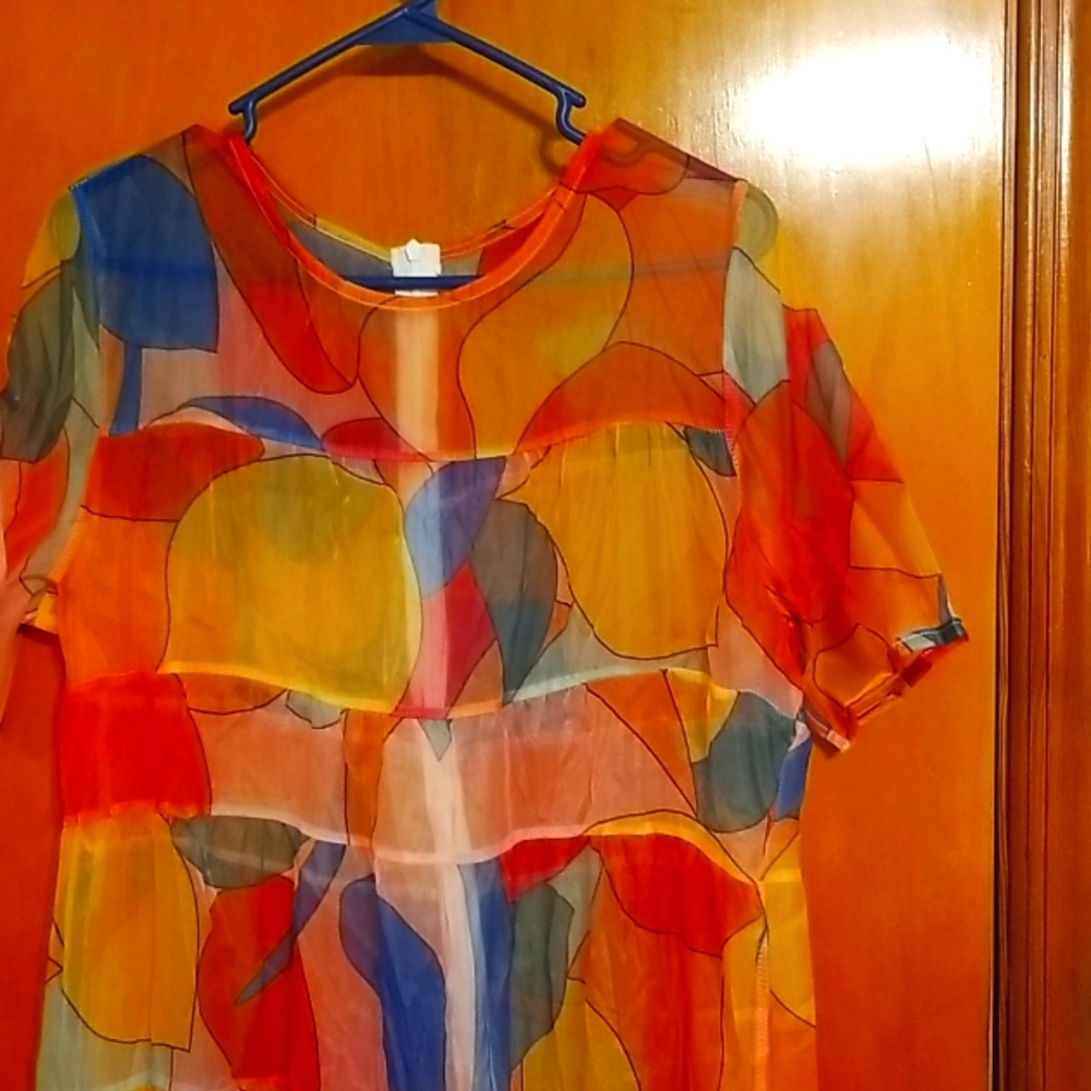 SHEER DRESS COVER